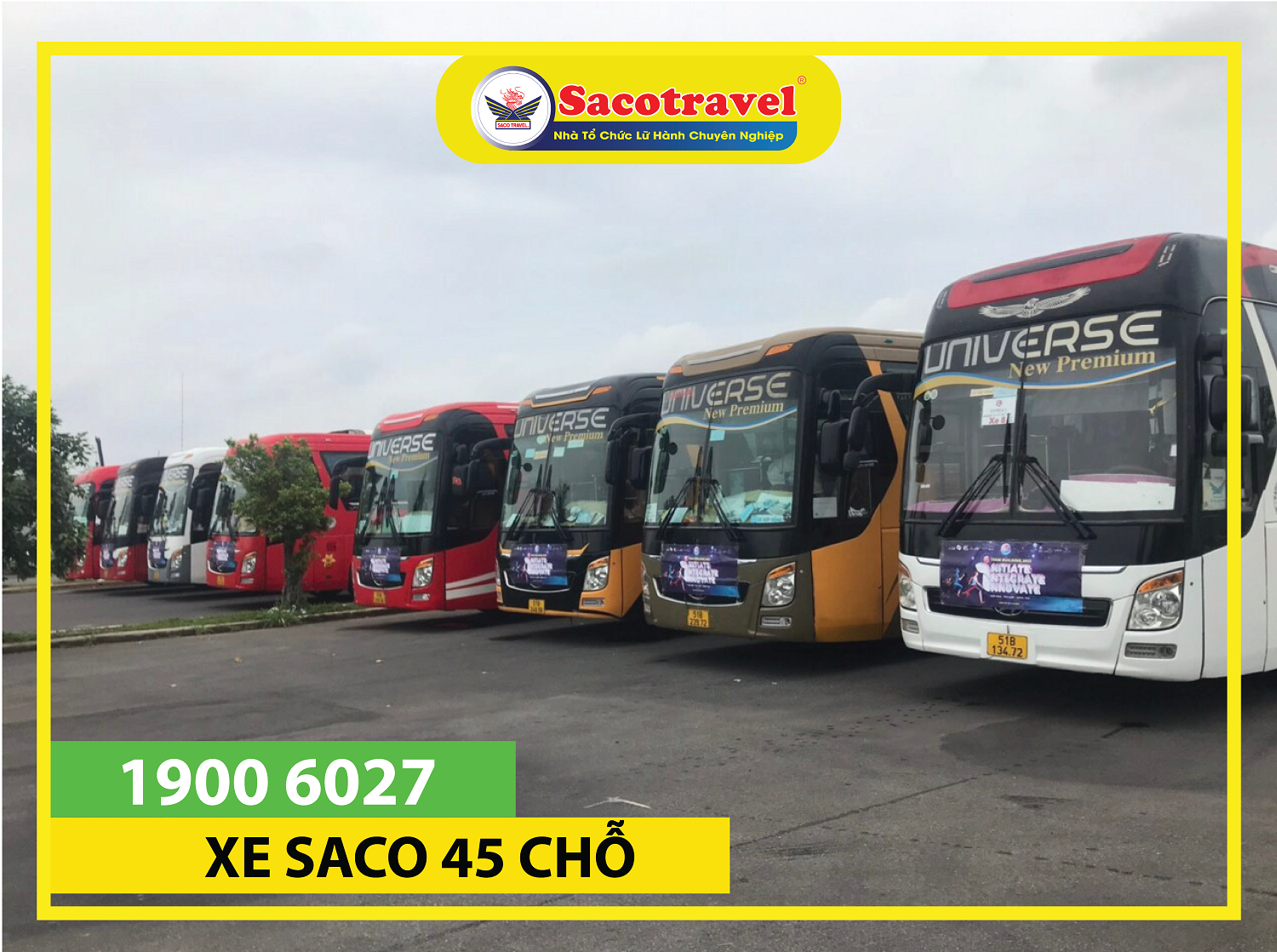 Xe 45 chỗ Saco Travel