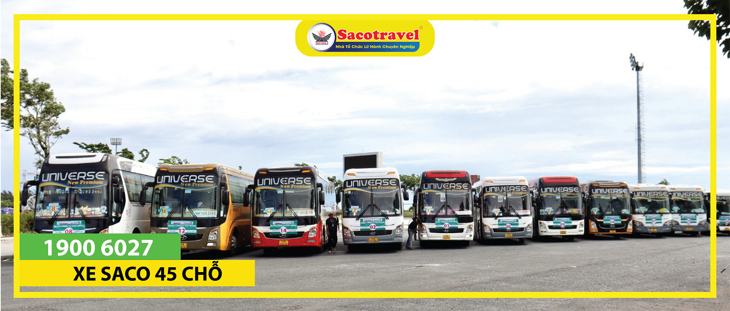 Xe 45 chỗ Saco Travel