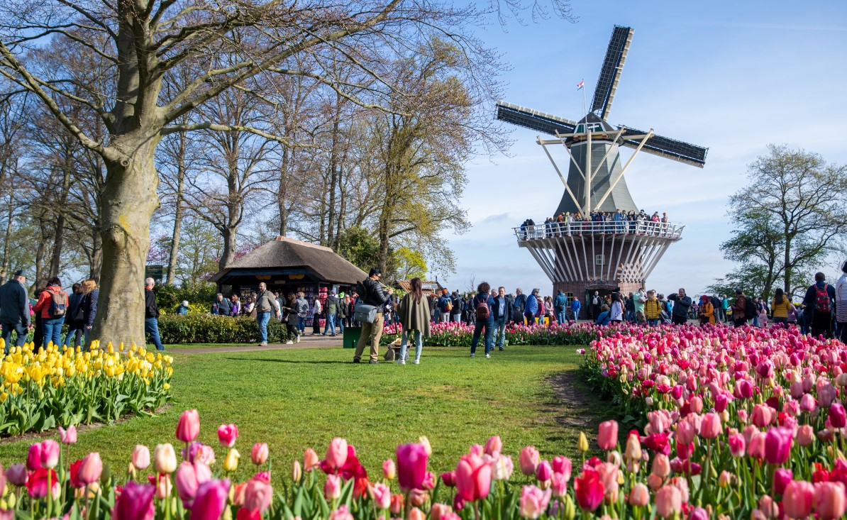Vườn hoa Keukenhof