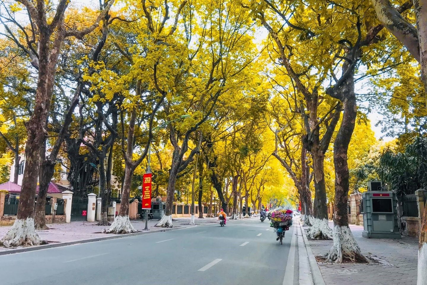 mùa thu hà nội
