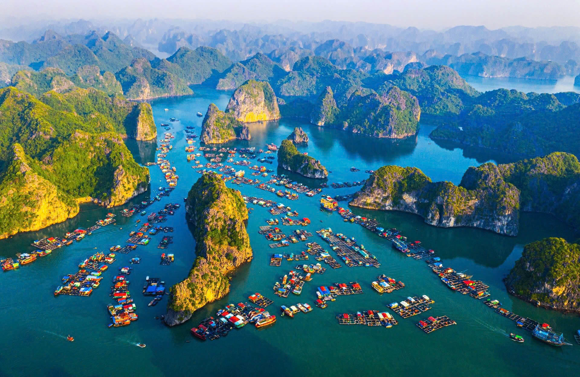 Cẩm nang Du lịch Cát Bà (7)